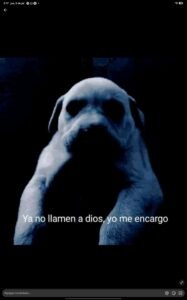 Tour en lancha